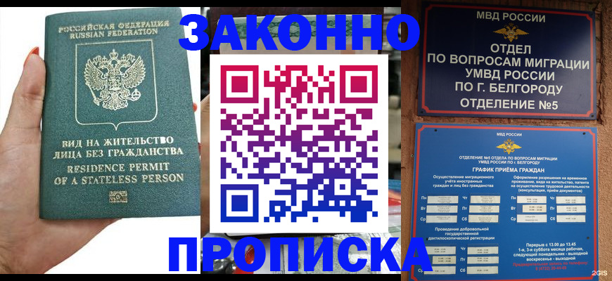 прописка для кредита в Новозыбкове